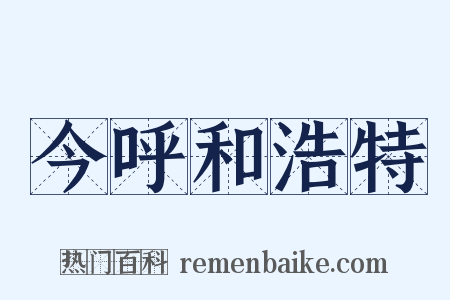 今呼和浩特是什么意思的图片